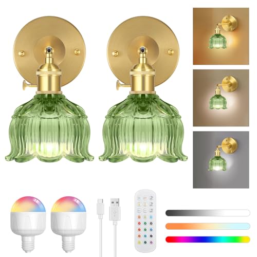 SERBASIC Vintage Batteriebetriebene Wandleuchten 2er,Innen-Wandleuchte mit abnehmbaren Glühbirnen und Fernbedienung,3 Farbtemperaturen 12 RGB, Wandleuchten für Wohnzimmer, Schlafzimmer, Flur von SERBASIC
