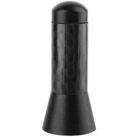 3,5 cm Kurze Auto Antenne Universal FM Radio Aluminium Legierung Carbon Faser 3,5 cm Kurze Auto Antenne Universal FM Radio Aluminium Legierung Carbon Faser von SERBIA