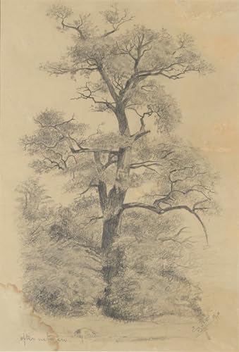 SERENDIPITP Bekannt Leinwand Malerei Poster Bilder Druck Wandgemälde Aus der natur von eugene jansson Wandkunst Poster für Wohnzimmer-Dekor 60x90cm SERENDIPITP Bekannt Leinwand Malerei Poster Bilder Druck Wandgemälde Aus der natur von eugene jansson Wandkunst Poster für Wohnzimmer-Dekor 60x90cm von SERENDIPITP
