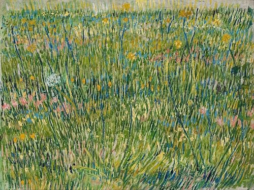 SERENDIPITP Bekannt Leinwand Malerei Poster Bilder Druck Wandgemälde Grasfleck von vincent van gogh Wandkunst Poster für Wohnzimmer-Dekor 60x90cm SERENDIPITP Bekannt Leinwand Malerei Poster Bilder Druck Wandgemälde Grasfleck von vincent van gogh Wandkunst Poster für Wohnzimmer-Dekor 60x90cm von SERENDIPITP