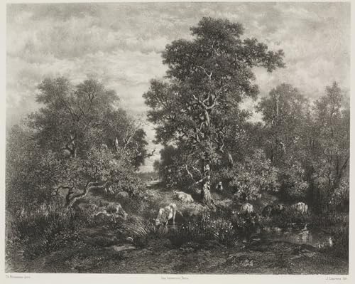 SERENDIPITP Bekannt Leinwand Malerei Poster Bilder Druck Wandgemälde der Teich nach Théodore Rousseau von Jules Augustin Laurens Wandkunst Poster für Wohnzimmer-Dekor 60x90cm von SERENDIPITP