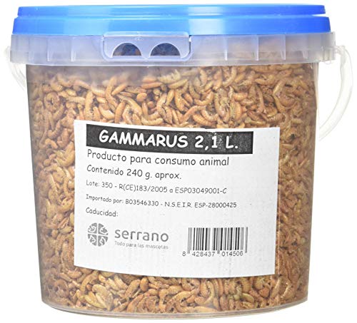 SERRANO Hummer 2.1L. 240 gr aproximad. von SERRANO