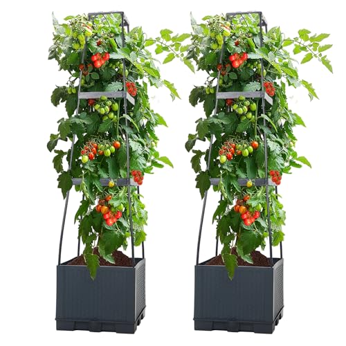 SERdeerCH 2 Pack Tomatentopf mit Rankhilfe (28×28×114 cm,14 L), selbstbewässernder Pflanzenturm in Anthrazit. Ideal für Tomaten & Klettergemüse – platzsparendes Hochbeet für Innenräume von SERdeerCH