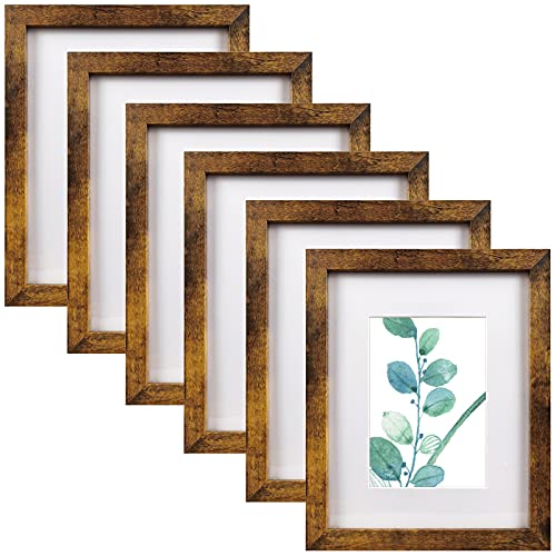 Bilderrahmen 20,3 x 25,4 cm, Braun, 6 Stück, Display-Bilder 12,7 x 17,8 cm mit Passepartout oder 20,3 x 25 Bilderrahmen 20,3 x 25,4 cm, Braun, 6 Stück, Display-Bilder 12,7 x 17,8 cm mit Passepartout oder 20,3 x 25 von SESEAT
