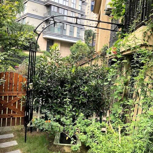 SEVSO Metall Rosenbogen Garten Halbbogen Rankhilfe Rankgitter Torbogen Für Kletterpflanzen Verzinkt Halb-Rosenbogen Witterungsbeständig,Schwarz,150 * 240cm von SEVSO
