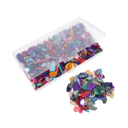SEWACC 1 Schachtel Dekorative Muschelfragmente Vase Füllmaterial Unregelmäßige Mosaikstücke Robusten Muscheln für DIY Bastelprojekte Vielseitig Verwendbar für Vasen Kerzenhalter von SEWACC