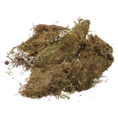 SEWACC 2 Packungen Natürlich Getrocknetes Moos für Mikrolandschaften Deko und Blumentöpfe Stabiles Sicheres Bastelmoos für Garten Bonsai Terrarien und DIY Dekorationen von SEWACC