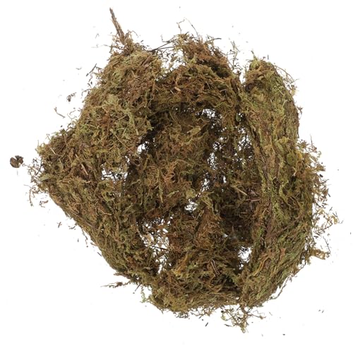 SEWACC 2 Packungen Natürliches Moos DIY Gartendekoration für Bonsai Blumentöpfe und Terrarien Weiches Langlebiges Flechtenmoos für Hamster Terrarien und Kreative Bastelprojekte von SEWACC