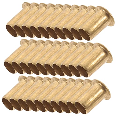 SEWACC 30 Stück Regalstütz Pins Hochwertigem Kupfer Stabile Halterung für Küchenregale und Möbel für Bücherregale und Einlegeböden SEWACC 30 Stück Regalstütz Pins Hochwertigem Kupfer Stabile Halterung für Küchenregale und Möbel für Bücherregale und Einlegeböden von SEWACC