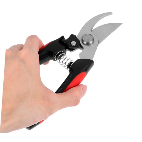 SEWACC Gartenschere aus Edelstahl Scharfe Präzise Schneide Leicht und Tragbar Multifunktional für Ernte und Bonsai schnitt Ergonomischer Griff für Komfortable Gartenarbeit SEWACC Gartenschere aus Edelstahl Scharfe Präzise Schneide Leicht und Tragbar Multifunktional für Ernte und Bonsai schnitt Ergonomischer Griff für Komfortable Gartenarbeit von SEWACC