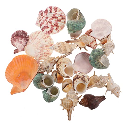 SEWOART Aquarium Deko Realistische Muscheln Für Fischbecken Umweltfreundliche Simulation Conch Für Süßwasser Zur Gestaltung Von Aquarien Und Zuhause SEWOART Aquarium Deko Realistische Muscheln Für Fischbecken Umweltfreundliche Simulation Conch Für Süßwasser Zur Gestaltung Von Aquarien Und Zuhause von SEWOART