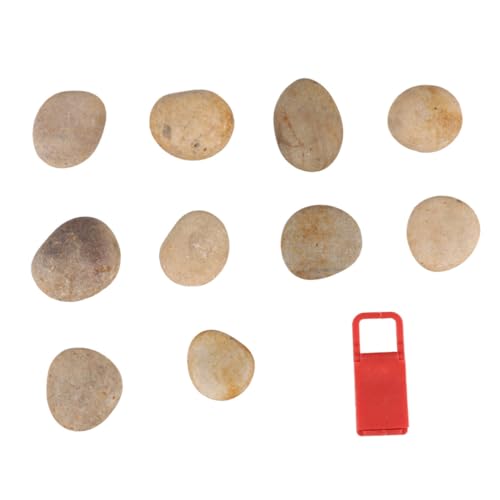 SEWOART 1 Set/10 Stück Bemalte Zeichensteine Für Kinder Zum Selbermachen Natürliche Kieselsteine Mit 1 Halterung Für DIY-projekte Zu Hause Schule SEWOART 1 Set/10 Stück Bemalte Zeichensteine Für Kinder Zum Selbermachen Natürliche Kieselsteine Mit 1 Halterung Für DIY-projekte Zu Hause Schule von SEWOART