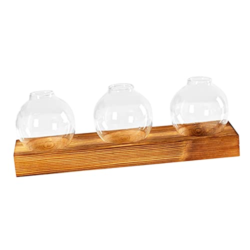 SEWOART Satz Glas Pflanzenterrarium Hydrokultur Pflanzenvermehrungsstation Tischdeko Für Zimmerpflanzen Vase Deko Für Innenbereich Glasterrarium Für Pflanzen von SEWOART