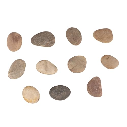 SEWOART 1 Set/10 Stück DIY-zeichensteine Handbemalte Felsen Naturkiesel Mit Halterung Für Kinder Zum Malen Zu Hause Schule SEWOART 1 Set/10 Stück DIY-zeichensteine Handbemalte Felsen Naturkiesel Mit Halterung Für Kinder Zum Malen Zu Hause Schule von SEWOART