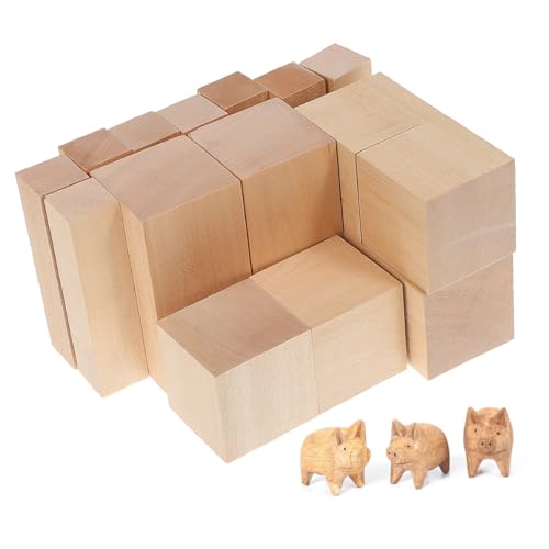 SEWOART 15 Stück Teiliges Holzklötzchen zum Basteln Unbehandelte Holzblöcke in Langlebig Glatt für Schnitzen Gravieren und Kreative DIY Projekte von SEWOART