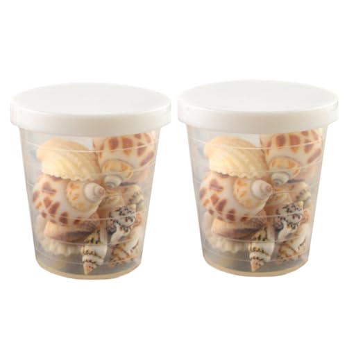 SEWOART 2 Schachteln Muscheln Strandmuscheln Für Aquarium Schmuckzubehör Füllmaterial Dekoration Für Schreibtisch SEWOART 2 Schachteln Muscheln Strandmuscheln Für Aquarium Schmuckzubehör Füllmaterial Dekoration Für Schreibtisch von SEWOART