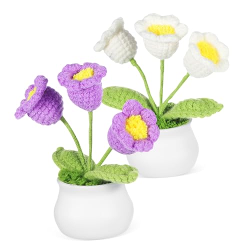 SEWOART 2 Stk. Handgefertigte Gehäkelte Blumenornamente Langlebige Farbechte Bonsai Deko für Auto und Schreibtisch Pflegeleicht Stilvolles Handgestricktes SEWOART 2 Stk. Handgefertigte Gehäkelte Blumenornamente Langlebige Farbechte Bonsai Deko für Auto und Schreibtisch Pflegeleicht Stilvolles Handgestricktes von SEWOART