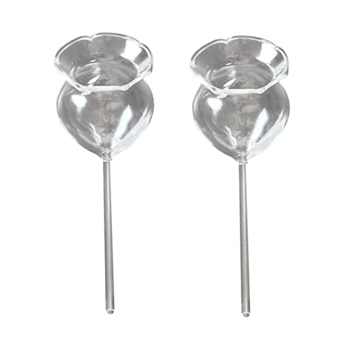 SEWOART 2 Stück Glas-bewässerungskugeln Automatisch Für Pflanzen Garten Blumenbewässerung Pflanzenbewässerung von SEWOART