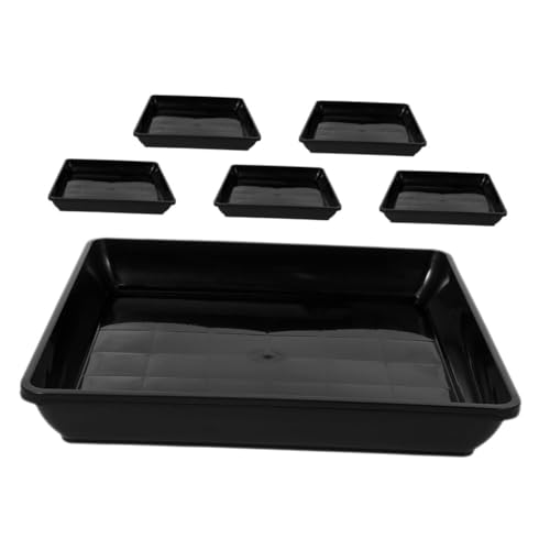 SEWOART 6 Stück Quadratische Pflanzuntersetzer aus Robustem Kunststoff Wetterfestes Wasserauffangtablett für Blumentöpfe Verhindert Überlauf Stabiler Pflanzenteller für Balkon und Garten SEWOART 6 Stück Quadratische Pflanzuntersetzer aus Robustem Kunststoff Wetterfestes Wasserauffangtablett für Blumentöpfe Verhindert Überlauf Stabiler Pflanzenteller für Balkon und Garten von SEWOART