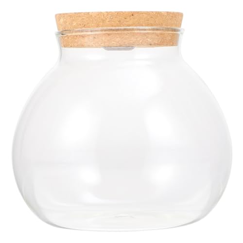 SEWOART Glas Terrarium Vase mit LED Licht Korkdeckel Hydroponische Pflanzenstation für Schreibtisch Kompakte Mini-Landschaft Dekoration Durchsichtiges Pflanzgefäß für Wohn Arbeitsbereiche SEWOART Glas Terrarium Vase mit LED Licht Korkdeckel Hydroponische Pflanzenstation für Schreibtisch Kompakte Mini-Landschaft Dekoration Durchsichtiges Pflanzgefäß für Wohn Arbeitsbereiche von SEWOART