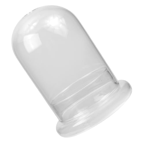 SEWOART Glas Terrarium mit Öffnung Transparenter Micro Landscape Planter Flasche Ökologischer Landschaftsbehälter DIY Dekoflasche für Moos Pflanzen und Wohnkultur SEWOART Glas Terrarium mit Öffnung Transparenter Micro Landscape Planter Flasche Ökologischer Landschaftsbehälter DIY Dekoflasche für Moos Pflanzen und Wohnkultur von SEWOART