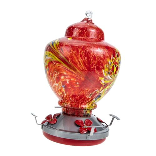 SEWOART -Feeder Futterhalter für Vögel Vogel Fütterer Vogelfutterhäuschen für draußen Hanging Feeder Zarte Vogelhäuschen Garten vogelhäuschen Glas Colorful SEWOART -Feeder Futterhalter für Vögel Vogel Fütterer Vogelfutterhäuschen für draußen Hanging Feeder Zarte Vogelhäuschen Garten vogelhäuschen Glas Colorful von SEWOART