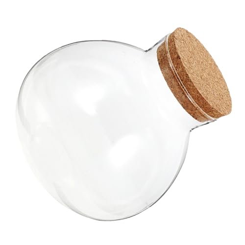 SEWOART Ökologische Mikrolandschaftsflasche Saftiges Glas Ökologische Glasflasche Klares Sphere -Terrarium Glasanlagenbehälter Versiegelter Glasbehälter Ökosystemflasche Transparent Kork SEWOART Ökologische Mikrolandschaftsflasche Saftiges Glas Ökologische Glasflasche Klares Sphere -Terrarium Glasanlagenbehälter Versiegelter Glasbehälter Ökosystemflasche Transparent Kork von SEWOART