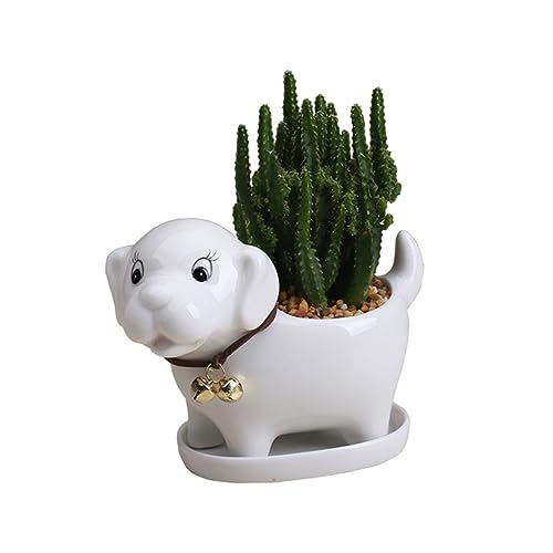 SEWOART Pflanztopf mit Hundemotiv Blumentopf in Hundeform Keramik Blumentopf für Sukkulenten Mini-Pflanztopf für das Home Office von SEWOART