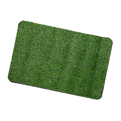 SEWOART Künstliche Rasenmatte Für Eingangsbereich rutschfeste Outdoor Bodenmatte Mit Drainagelöchern Als Fußmatte Oder Haustiermatte Für Drinnen Und Draußen von SEWOART
