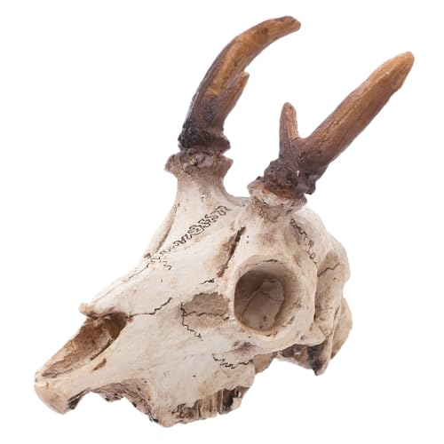 SEWOART Reptilien-Haustier-Dekoration, Elch-Schädel, Aquarium-Dekoration, Schlangen-Tankzubehör, Aquarium-Schädel-Dekorationen SEWOART Reptilien-Haustier-Dekoration, Elch-Schädel, Aquarium-Dekoration, Schlangen-Tankzubehör, Aquarium-Schädel-Dekorationen von SEWOART