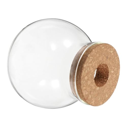 SEWOART Rundes Glas Terrarium mit Korkdeckel Hydroponik Glasgefäß für Farn Sukkulenten und Luftpflanzen Dekoratives Mikrolandschafts Gefäß Vielseitig als Vase oder Aquarium Nutzbar von SEWOART