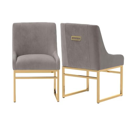 Küchen- und Esszimmerstühle im 2er-Set, moderne Samt-gepolsterte Esszimmerstühle mit goldfarbenen Metallrahmenbeinen, getufteter Akzentstuhl für Empfangsraum, Wohnzimmer, Arbeitszimmer (grau) von SEYNAR
