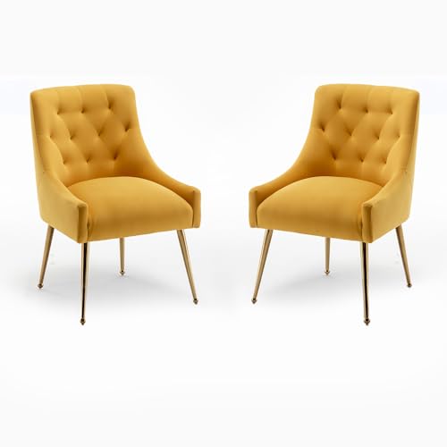 SEYNAR Esszimmerstuhl-Set, moderne Samt-Esszimmerstühle mit goldfarbenen Beinen, elegante getuftete Akzentstühle für Empfang, Wohnzimmer oder Arbeitszimmer, 2 Stück von SEYNAR