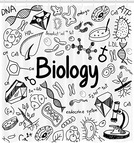SEYUMI Duschvorhang 180x200 Biologie Duschvorhang Biologie Badezimmer Vorhang Antischimmel Wasserdicht 3D Effekt Duschvorhänge Textil Polyester Stoff für Badewannen mit Haken von SEYUMI