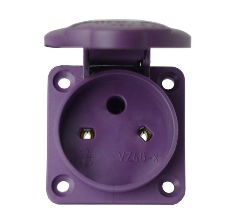 SEZ Steckdose Einbausteckdose gerade 48V 10A 2P IP54 Steckdose, 1-St. von SEZ