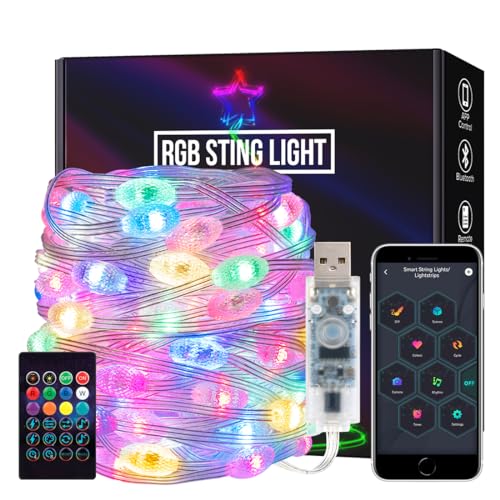 SEZO Farbwechselnde Weihnachtslichter WS2812B IC 10M 66LEDs Wasserdicht RGB IC Music Sync USB LED Twinkle Globe Lights mit IR-Fernbedienung für Weihnachten Festival Party Dekoration von SEZO