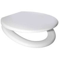 SFA Sanibroy WC-Sitz weiß zu SaniCompact Comfort C72 bis 12/2022 INS100115 SFA Sanibroy WC-Sitz weiß zu SaniCompact Comfort C72 bis 12/2022 INS100115 von SFA