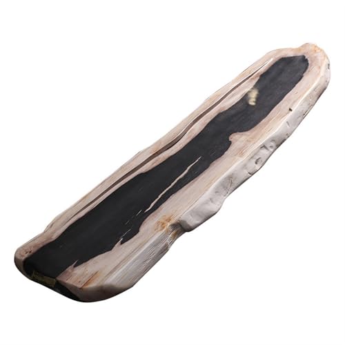 Teetablett Natürliches Holz Fossile Teetablett Moderne einfache chinesische Teetisch für Zuhause Ganzer Baum Fossilisierter Jadestein Kopfgröße Teetablett Porttablett von SFANIIX