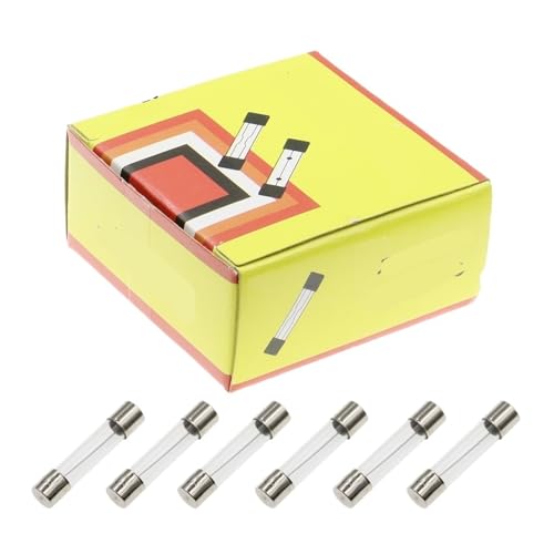 SFJSFIMQ 100 Stücke 6X30MM Schnell Wirkende Glassicherung 6 * 30mm 250V 0,5A 1A 2A 3A 4A 5A 6A 8A 10A 15A 20A 25A 30A AMP Rohrsicherung(F0.2A) von SFJSFIMQ