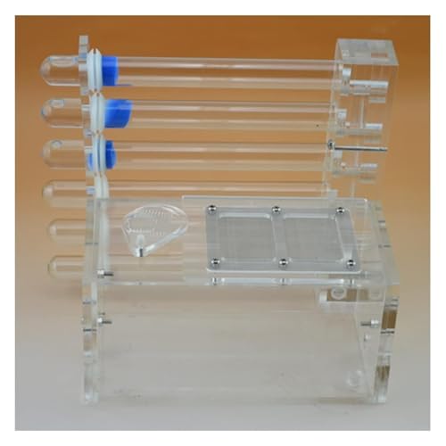 Ameisenfarm-Boxen, 6 Reagenzglas Ant Farm Acryl Nest Box Castle Ameisen Königin Zucht Haus Ameisenfarm-Boxen, 6 Reagenzglas Ant Farm Acryl Nest Box Castle Ameisen Königin Zucht Haus von SFQEVHRZ