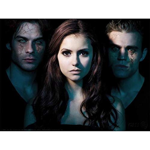 SFTDF Vampire Diaries, DIY Diamond Painting Kit 5D, Mosaik, vollkristallbestickte Diamanten, Geschenke für die Heimdekoration(11.8x15.8inch) von SFTDF