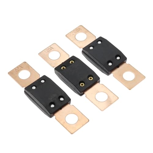 10 Stücke Auto Sicherung Anschraubsicherung Durchbrennen Eine Sicherung Flachsicherung 40A 50A 60A 80A 100A 125A 175A 150A 200A 250A 300A 400A(30A) von SFYMORHE