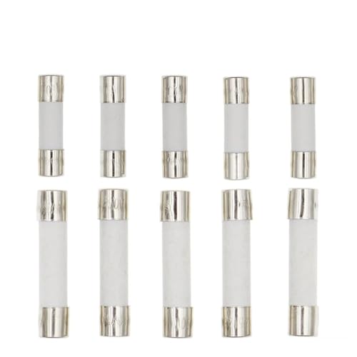 100 STÜCKE 5X20 MM 6X30 MM Flinke Keramiksicherung 5 * 20mm 250 V 0.1A 0.25A 0.5A 1A 1.5A 2A 2.5A 3A 3.15A 4A-30A Langsam Brechen Die Sicherungsrohr(5X20MM,4A) von SFYMORHE