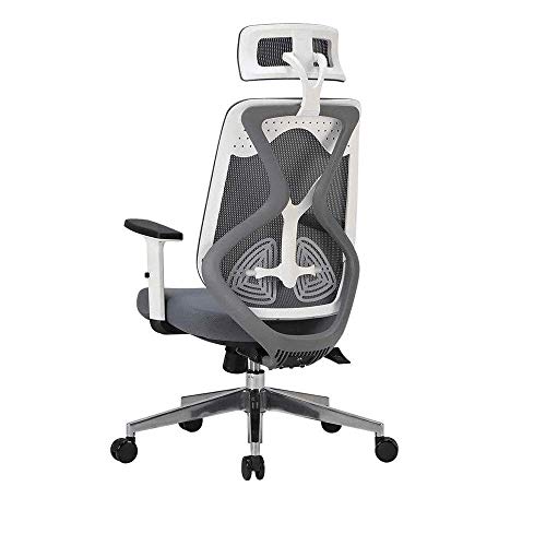 SGKOMN Bürostuhl, Verstellbarer Stuhl mit hoher Rückenlehne, Verstellbarer Kopfstütze und nach unten kippbarer Rückenlehne, ergonomischer, atmungsaktiver Computer-Schreibti SGKOMN Bürostuhl, Verstellbarer Stuhl mit hoher Rückenlehne, Verstellbarer Kopfstütze und nach unten kippbarer Rückenlehne, ergonomischer, atmungsaktiver Computer-Schreibti von SGKOMN