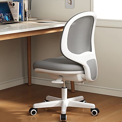 SGKOMN Bürostuhl Gaming-Stuhl Computerstuhl Armlose Bürostühle mit Rädern, Kleiner Netz-Schreibtischstuhl Ergonomischer Computerstuhl Bequemer süßer Arbeitsstuhl, Kompakter, Gray-60x85 SGKOMN Bürostuhl Gaming-Stuhl Computerstuhl Armlose Bürostühle mit Rädern, Kleiner Netz-Schreibtischstuhl Ergonomischer Computerstuhl Bequemer süßer Arbeitsstuhl, Kompakter, Gray-60x85 von SGKOMN