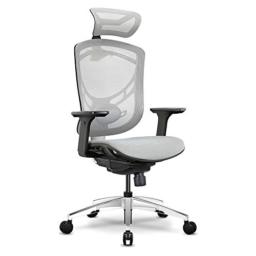 SGKOMN Ergonomischer Schreibtischstuhl mit Rollen, 4D-Verstellbarer Armlehne, 3D-Lendenwirbelstütze, Netz-Computerstuhl, Gaming-Stühle, Chefsessel von SGKOMN