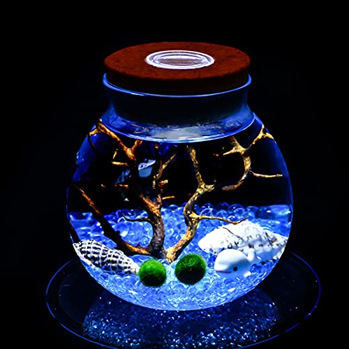 SH-RuiDu Nachtlichter, Micro Landscape Ecological Bottle Terrarium mit Kork Micro Landscape Ecological Bottle von SH-RuiDu