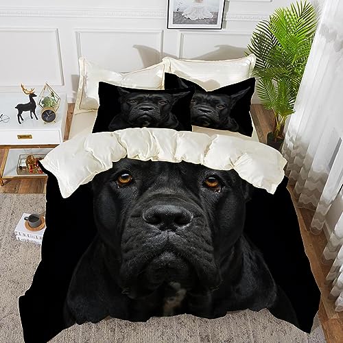 Bettwäsche 3 Teilig Bettgarnitur,Closeup Portrait der schönen schwarzen Cane Corso Hündin,Gemütlich Mikrofaser Bettbezug Set 1 Bettbezug Set 135 x 200 cm + 2 Kissenbezug 50x80 cm von SHAARI