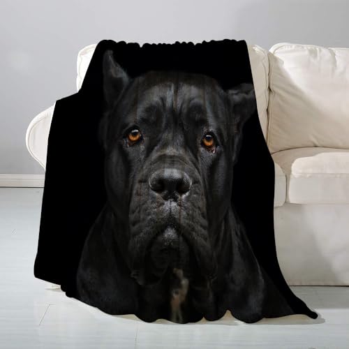 SHAARI Kuscheldecke flauschigsuper weich Flanell Wohndecke,Closeup Portrait der schönen schwarzen Cane Corso HündinTagesdecke, Sofadecke & Überwurf Decke Sofa & Couch130x150cm von SHAARI