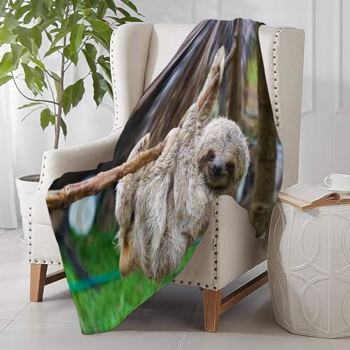 SHAARIKuscheldecke Flauschige extra weich & warm Wohndecke Flanell,Moving Brown Puerto Sloths Rescue Center Costa Rica Mammal San Wildlife Green Three Sofadecke oder Bettüberwurf, 100x130cm von SHAARI